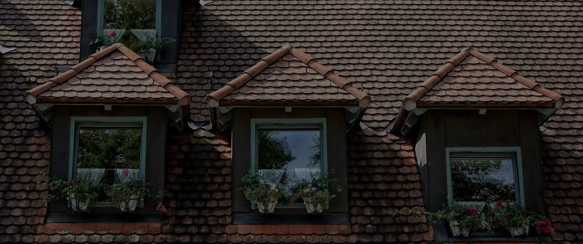 Remplacement d'un Velux sur une toiture avec lucarnes dans l'Avesnois